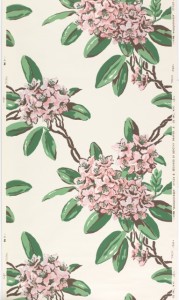 Pink and white rhododendrons, green leaves, printed on white ground.