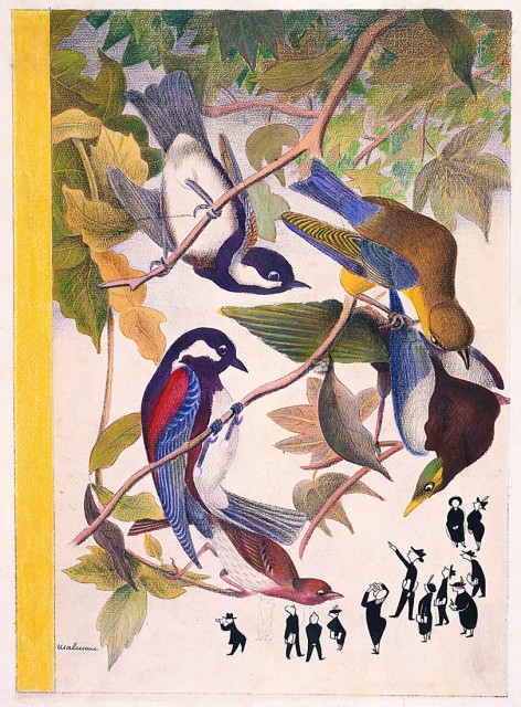 Drawing of large, colorful birds perched in tree branches peering down at a group of the Audubon Society bird-watchers represented in small scale black and white. They point, take notes, and look through field glasses. Birds depicted based on Audubon prints.