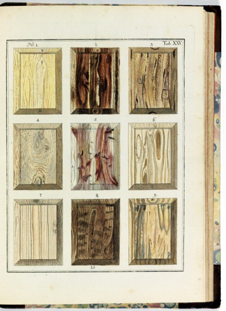 Jan Christian Sepp, Icones lignorum exoticorum