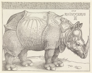 rhinoceros woodcut print