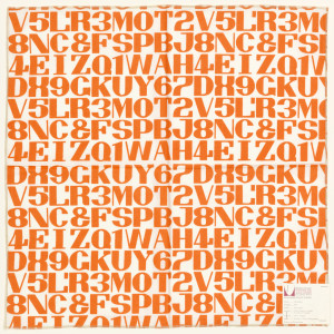 Rows of letters and numbers printed in orange on white. Serged on all 4 sides.
