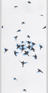 Composed of two panels "Indi" captures the spontaneous action of a flock of black birds in motion. The main cluster of birds is near the center of the panel height. The photographically-captured image is printed in black with blue highlights on a white textured ground.