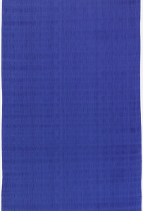 blue vertical pattern textile