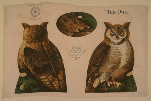 Printed panel, entitled "The Owl" with front, back and bottom views of a perched owl in shades of brown, green and yellow, meant to be cut and sewn into a stuffed toy. Sewing instructions are printed in the center. "Arnold Print Works, North Adams, MA" is printed on the upper left corner