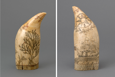 Scrimshaw, mid 19th century, whale tooth, India ink, Gift of Anonymous donor.