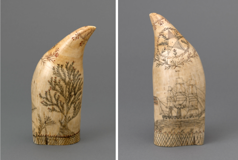 Scrimshaw, mid 19th century, whale tooth, India ink, Gift of Anonymous donor.