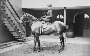 A young woman posing on a brown horse in a stable. She wears tight riding clothes.