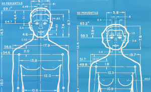 blueprint-like diagram of man and woman side by side with various measurements sketched out around them