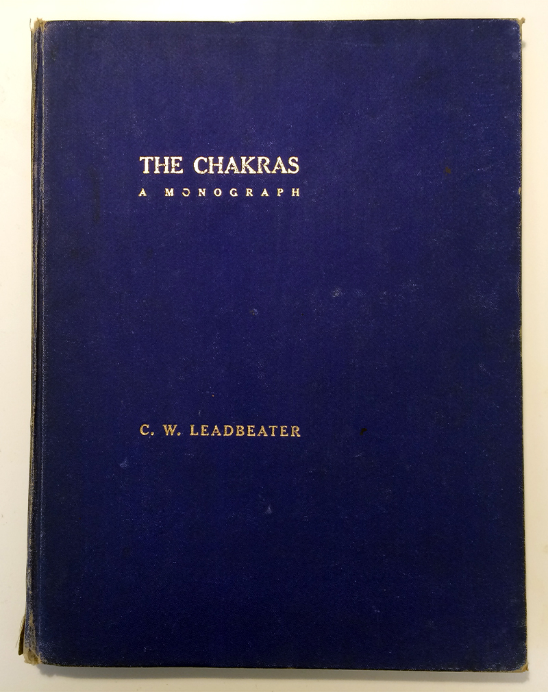 a deep blue hardcover book with tattered edges, and title printed in gold relief.