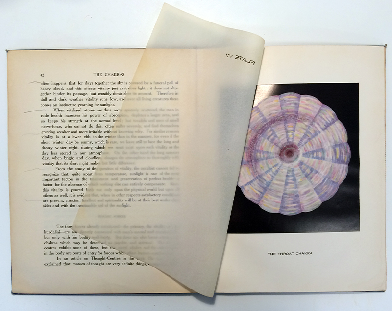 A book spread with text on the left and an illustration of a violet wheel on the right