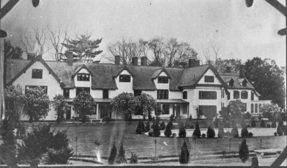 Detailed photograph of the Italian sunken garden showing various shrubs and topiaries sculpted into spheres, cones, and “lollipops.”