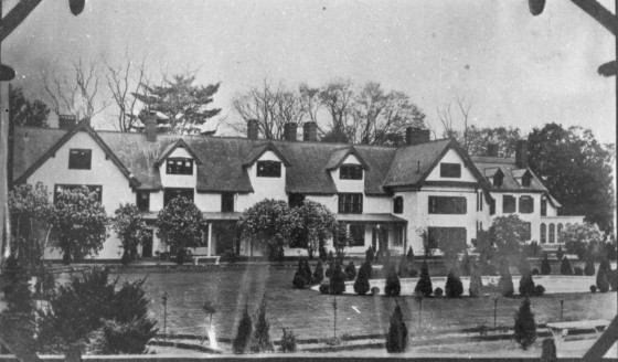 Detailed photograph of the Italian sunken garden showing various shrubs and topiaries sculpted into spheres, cones, and “lollipops.”