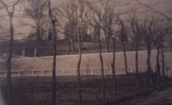 A rare image of the three greenhouses at Ringwood Manor, ca. 1915.