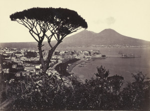 Panorama of Vomero with Pine Tree; Giorgio Sommer (Italian, born Germany, 1834 - 1914); Vomero, Italy; about 1870; Albumen silver print; 17.8 x 24 cm (7 x 9 7/16 in.); 84.XP.726.43; Collection of the J. Paul Getty Museum.