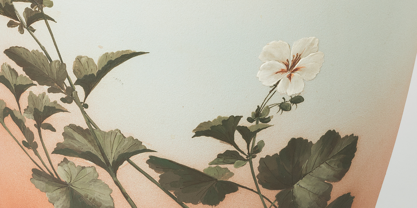 Close up image of vase with delicate white flowers painted on the surface