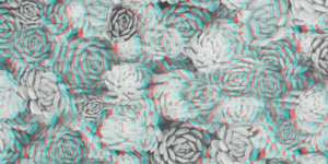 Image of a repetitive pattern of succulents in black, white, and a green tone. Colors give the appearance of movement on the flat surface.