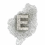 The letter "E" formed from frog eggs. Frogspawn Typography, from the Visceral Typography collection, 2014; Monique Goossens. On view in The Senses: Design Beyond Vision.