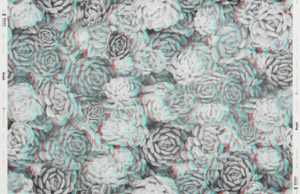 Image shows "Bloom" anaglyph or 3D wallpaper, a floral design of cacti printed in red, blue, and black. Please scroll down for additional information on this paper.