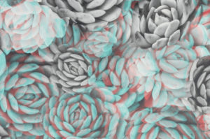 A segment of 3D wallpaper design of overlapping rose blooms in turquoise, grey, white, and red hues that appear three dimensional when viewed through special glasses. Scroll down for information on a sensory tour of Saturated: The Allure and Science of Color, which features this wallpaper.