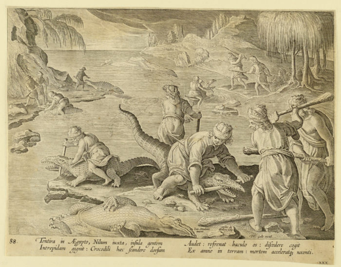 Scene of men capturing crocodiles by riding on their backs, and forcing sticks between their jaws.