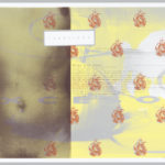 Image is bisected to left of center. At left a close up of a female torso viewed through a gray-green scrim. At right a medical apparatus in gray is seen on a yellow ground. Red and gray images of a 16th century sailing ship are scattered across sheet. At top center a white rectangle with the text "IDENTIDAD". "EXCESO" in gray is stretched across sheet at center. At center and at right, overlapping printed Spanish and English text in gray, red and black.