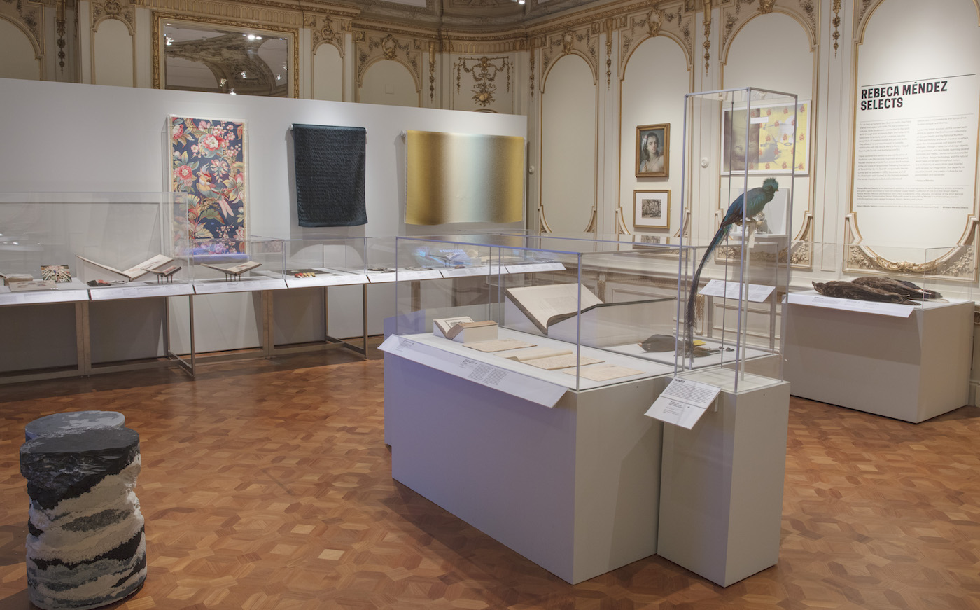 In a large room with walls embellished with gilded paint on the decorative ornamentation and a wood inlaid floor, large swatches of fabric of various designs hang over a glass vitrine. An exotic bird with glossy blue feathers and a dramatically long tail is posed standing on a bar and enclosed in a glass vitrine and several large, antique books displayed open. Two large preserved eagles are in another vitrine, lying on their sides. Scroll down to learn more about the exhibition Rebeca Mendez Selects.