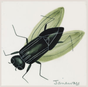Image features a square ceramic tile with the large image of a fly seen from above, rendered in back and green glazes on a white ground. Please scroll down to read the blog about this object.