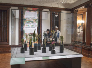 Two visitors admire botanical models on view at Cooper Hewitt