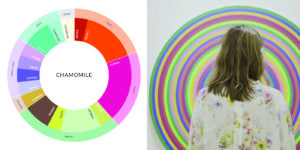Color wheel of chamomile tea on left showcasing colorful notes including earthy, floral, minty. On right a woman in a floral shirt stands in front of a colorful circular work of art.