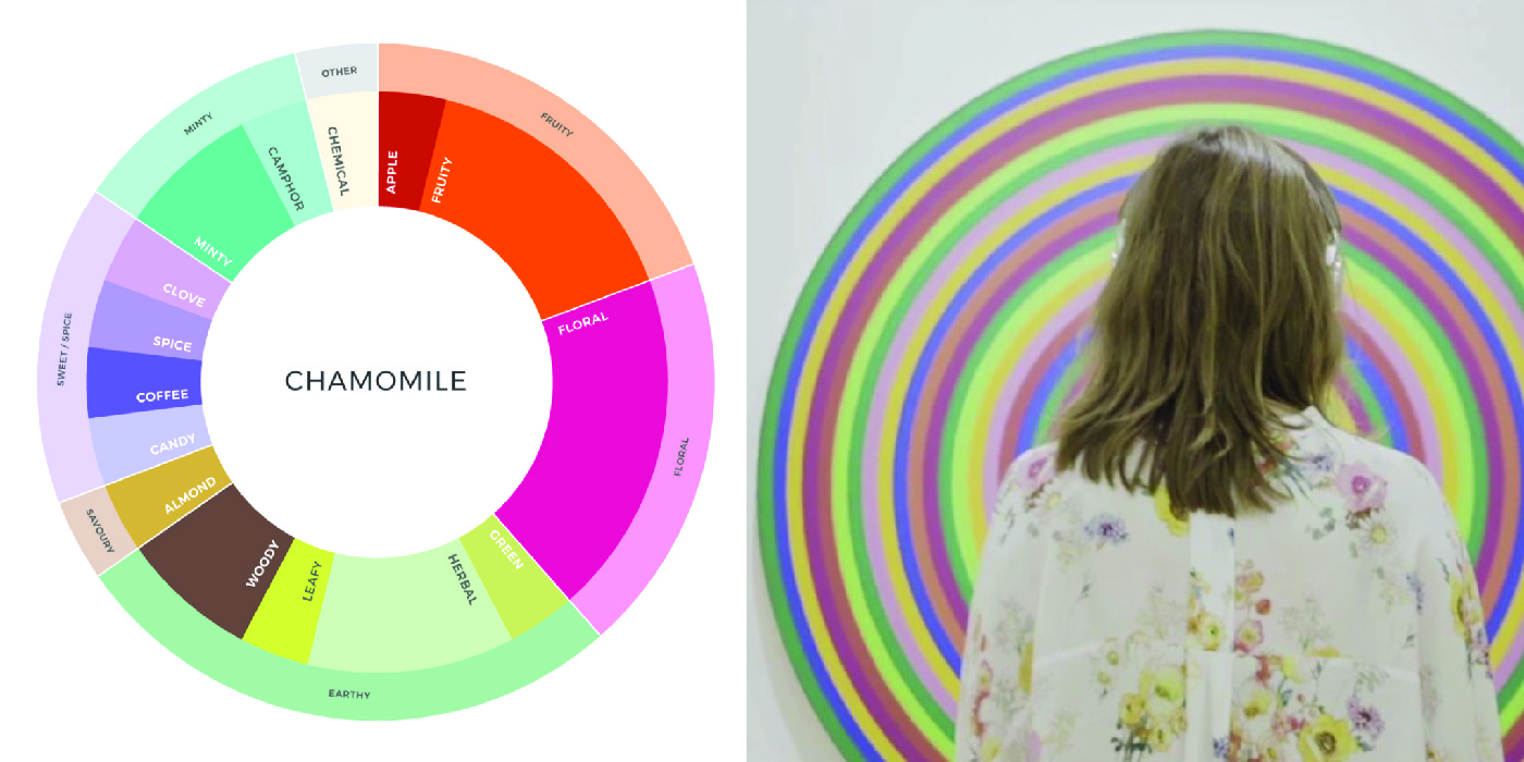 Color wheel of chamomile tea on left showcasing colorful notes including earthy, floral, minty. On right a woman in a floral shirt stands in front of a colorful circular work of art.