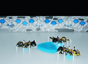 A trio of robotic black and yellow ants with white legs gather around a blue plastic lattice "droplet," like real ants nibbling on a crumb of food
