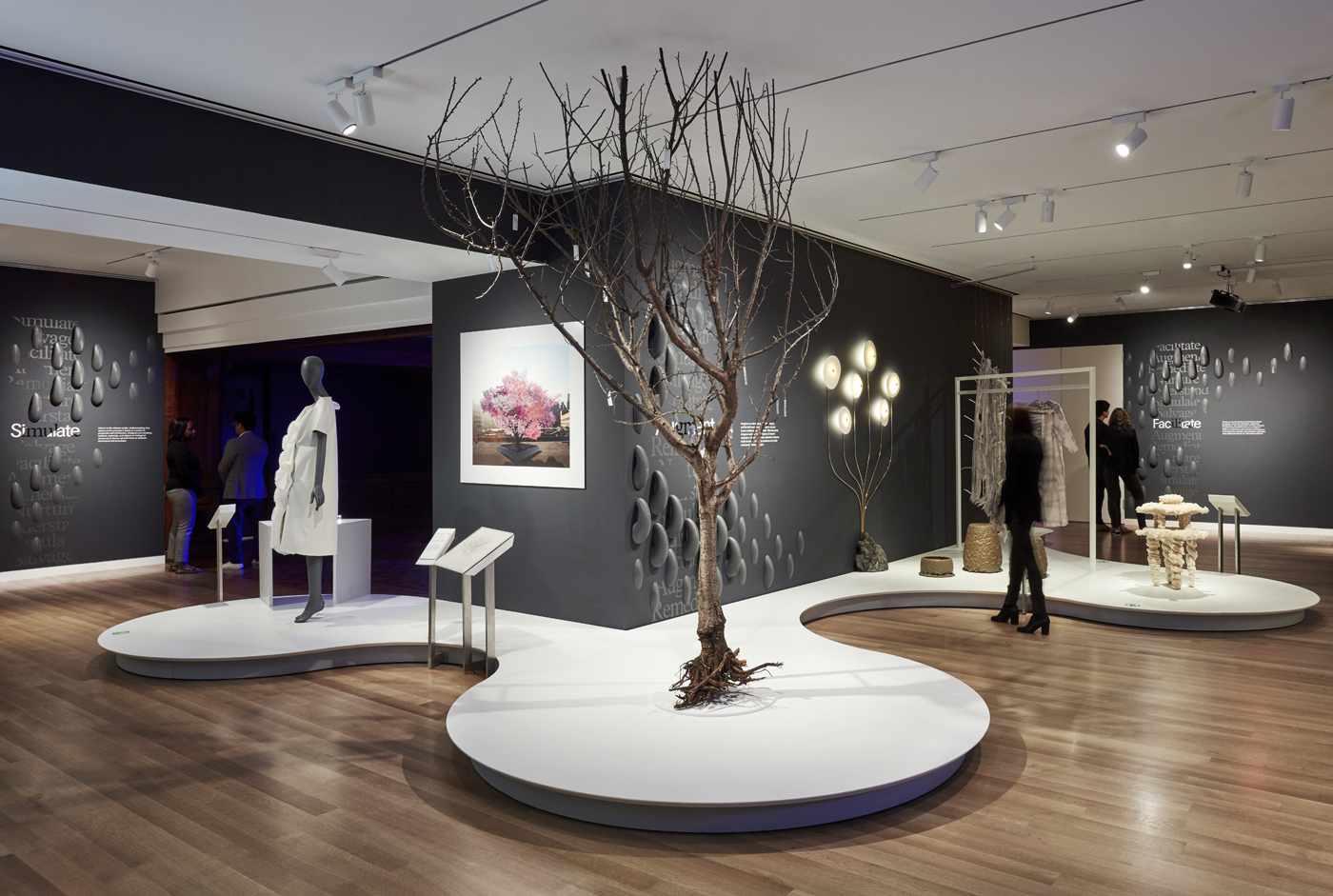 In the galleries of Cooper Hewitt, a large bare tree is mounted in a white platform. In the background, a mannequin wearing a white dress is staged next to a digitally rendered tree in bloom with pink flowers. A visitor stands near a crystalline stool made of sea salt.