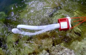 BABYLEGS, 2017-2019. Designed by CLEAR (Civic Laboratory for Environmental Action Research) and Max Liboiron. It is dated 2017-2019. Its medium is babylegs trawl, petri dishes with microplastic samples gathered from the hudson river, photograph, spotters guide to plastic pollution.