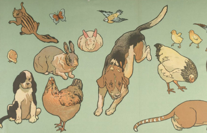 On a light green background, illustrations of a beagle, a bunny, a butterfly, a bird, a chicken, a chick and a rooster