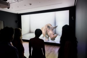 People in silhouette look at a life-size projection of a rhino on screen