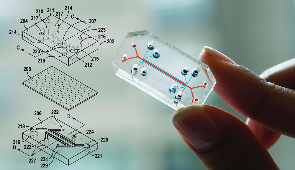 Two fingers hold a small device—about one by half an inch—that is clear and transparent with blue and red internal wires. To the left of the image are diagrams of the device.