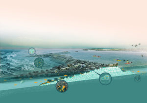 Illustration / diagram. A seawall made from square blocks shields kayakers from big waves. Seals lounge on the seawall. Fish swim around the seawall and seashells grow near it.