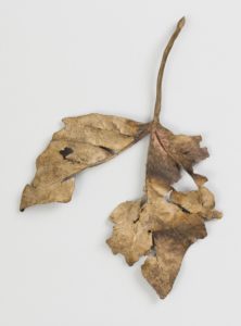 Image features a bronze brooch in the realistic form of a decayed and torn dried leaf, in tones of ochre to golden brown. Please scroll down to read the blog post about the object.