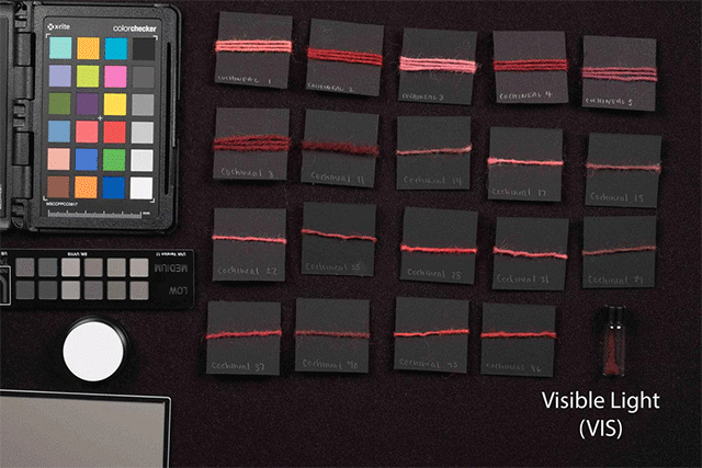 Nineteen black cards with red and pink yarn samples, shown in an animated gif changing colors under different imaging conditions.