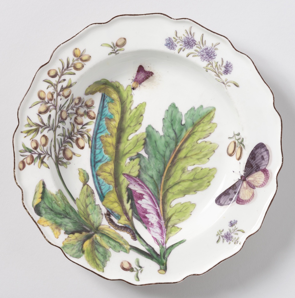 Image features a circular white plate with a wavy, brown-edged rim surrounding colorful painted decoration of a branch of bocconia/parrot weed (Bocconia frutescens) leaves, various sprigs, a caterpillar, and two winged insects. Please scroll down to read the blog post about this object.