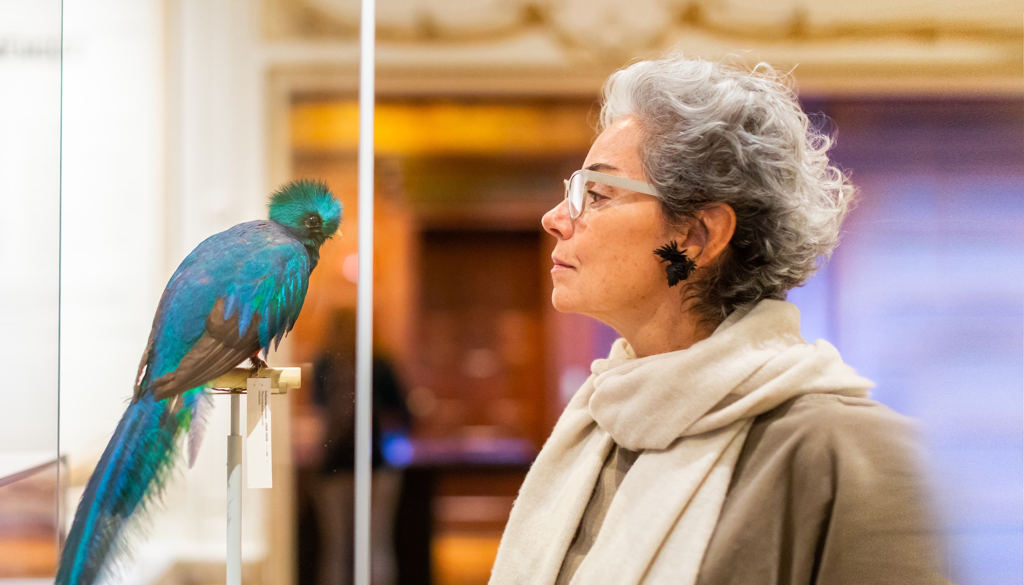 A woman wearing a cream-colored scarf and glasses gazes at a bright blue taxidermied bird at her eye level.