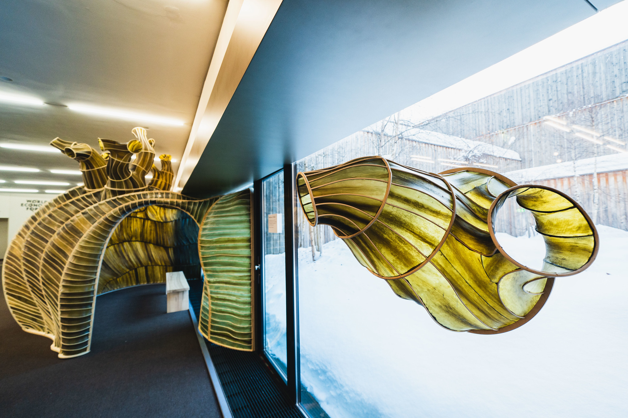 A sculptural structure made from seaweed seems to wrap, like a tentacle, in and out of the a conference room window. Outside the window is several feet of white snow.