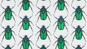 Repeating pattern of gigantic iridescent green beetles on white background
