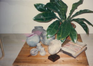 A collection of vases and vessels beside a green plant on a slab of wood.