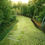 A photograph of a garden with stone walkway comprised of long rectangular slabs. Green grows between the slabs which are placed at varying angles. Lush trees grow on either side of the walkway.