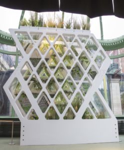 White geometric structure filled with plants seen through glass panels.