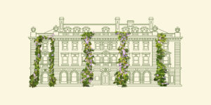 Line illustration of the Carnegie Mansion with lush wisteria in bloom.