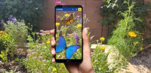 In the center of the image is a medium-skin toned hand holding a cell phone. The cell phone displays two butterflies superimposed against the flower garden in the background of the image. One of the butterflies is bright blue with a slight iridescent quality, and the smaller one, a Monarch, contains various shades of orange and yellow with black veining on the wings.
