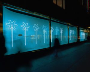 A photograph taken at night of a store window display. The background of the display is blue with four white LED flower shapes. There is text on the window but all that can be read is the title [Flower Power].