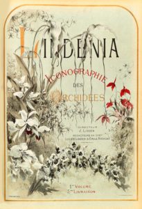 Book cover with illustrated flowers framing the title and other text. [Lindenia Iconographie Des Orchidees]